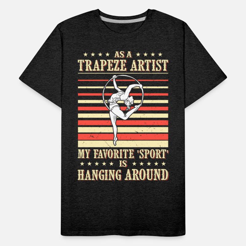 Circus Aerial Silks Aeralist Acrobatics Trapeze
