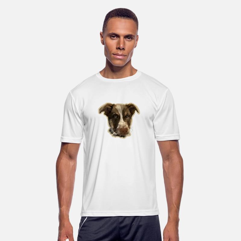 dogs angry animal